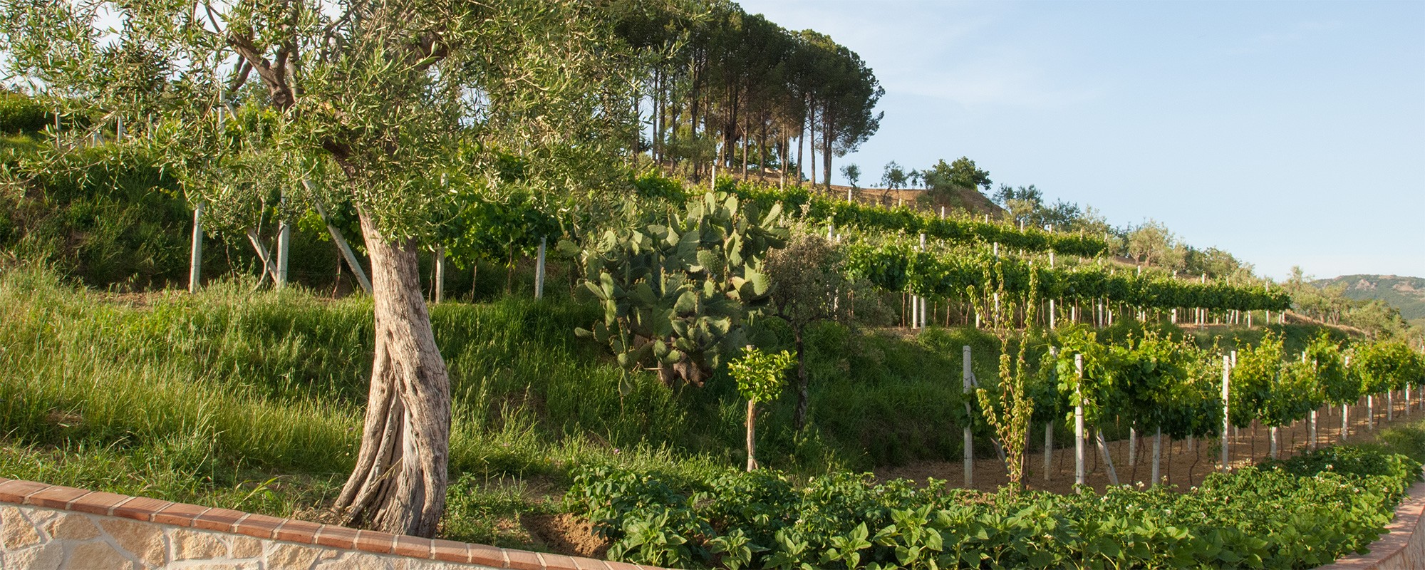 Parkumgebungferienhausferienwohnungsizilienferienparcoverdeger0070s